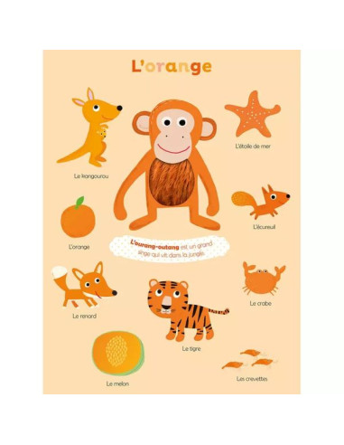 Livre Mes premières couleurs à... Livre Mes premières couleurs à...