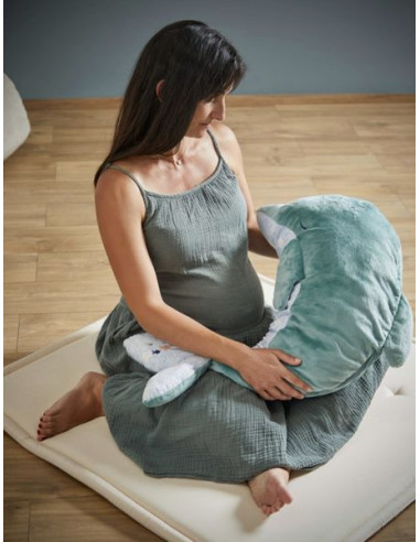 Ma peluche apaisante évolutive Petit... Ma peluche apaisante évolutive Petit...