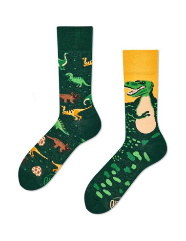 Chaussettes The dinosaurs adulte -...