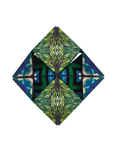 Shashibo Éléments Shashibo Éléments