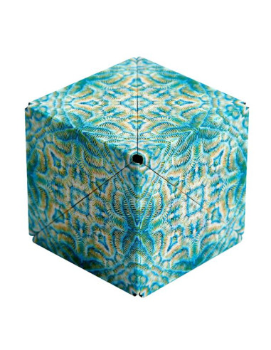 Shashibo Océan Shashibo Océan