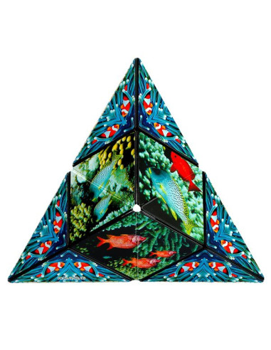 Shashibo Océan Shashibo Océan