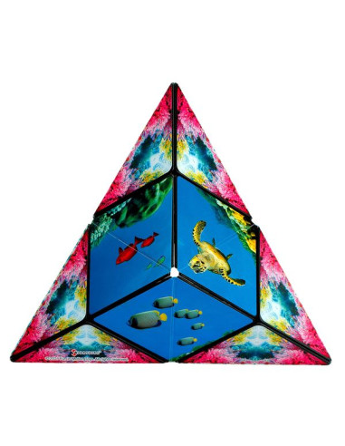 Shashibo Océan Shashibo Océan