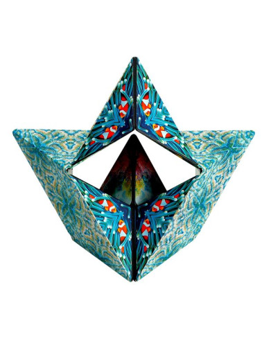 Shashibo Océan Shashibo Océan