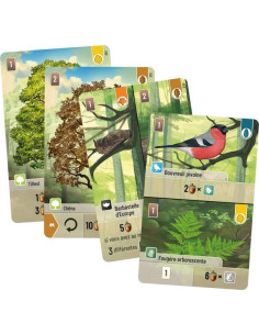 Jeu Forêt Mixte 2