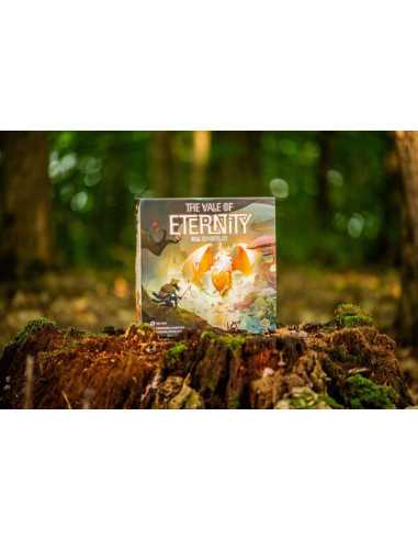 Jeu The Vale of Eternity Jeu The Vale of Eternity