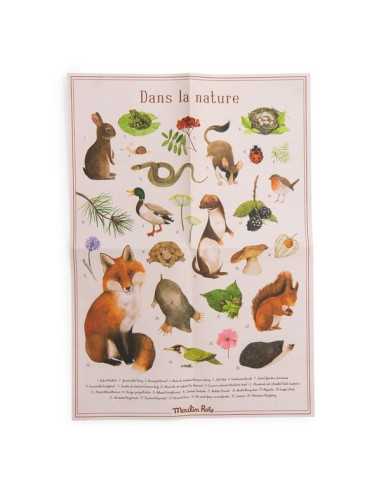 Découverte des animaux du jardin Le... Découverte des animaux du jardin Le...