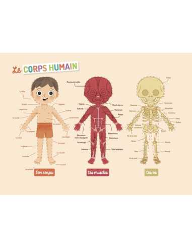 Mon petit coffret aimanté le corps... Mon petit coffret aimanté le corps...