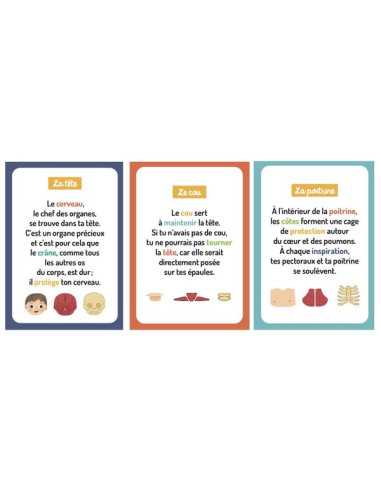 Mon petit coffret aimanté le corps... Mon petit coffret aimanté le corps...