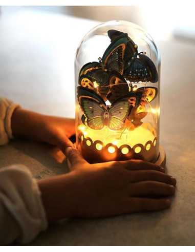 Cloche lumineuse Papillons à créer -... Cloche lumineuse Papillons à créer -...