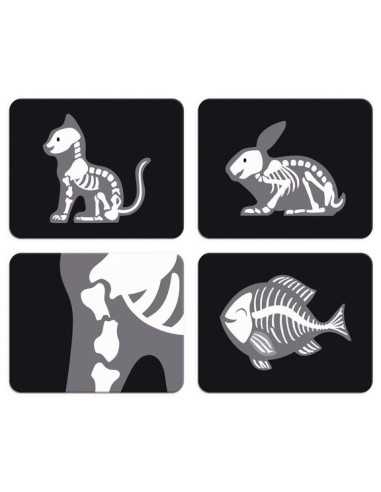 Mallette du vétérinaire - Janod Mallette du vétérinaire - Janod