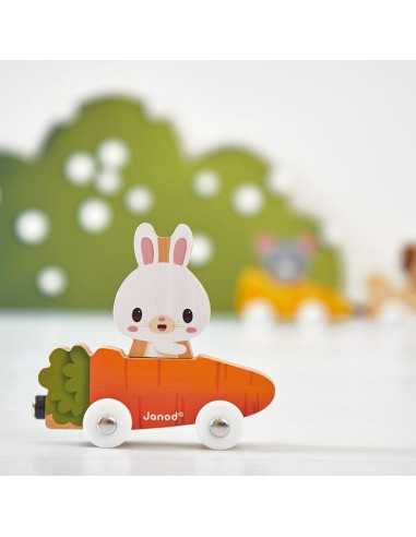 Animaux familiers magnétique - Janod Animaux familiers magnétique - Janod