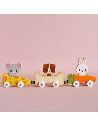 Animaux familiers magnétique - Janod Animaux familiers magnétique - Janod