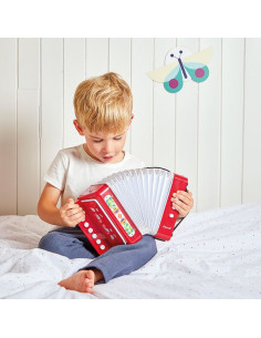 Accordéon Gioia - Janod 2