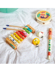 Set musical Gioia - Janod 2