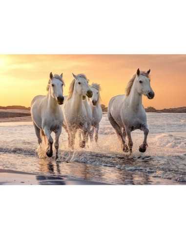 Puzzle Chevaux en Camargue 500 pièces... Puzzle Chevaux en Camargue 500 pièces...