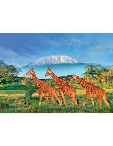 Puzzle Girafes 500 pièces XL -... Puzzle Girafes 500 pièces XL -...