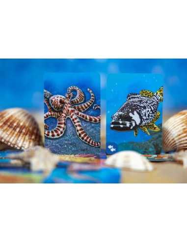 Jeu Écosystème Océan Jeu Écosystème Océan