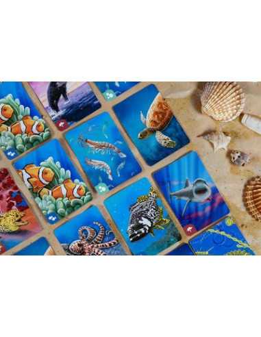Jeu Écosystème Océan Jeu Écosystème Océan