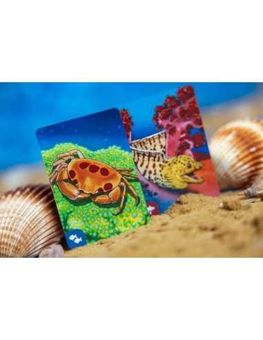 Jeu Écosystème Océan Jeu Écosystème Océan