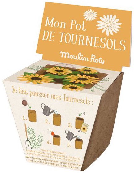 Pot pour faire pousser des tournesols pour enfant