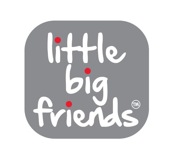 Little Big Friends