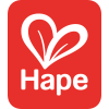 Hape Toys